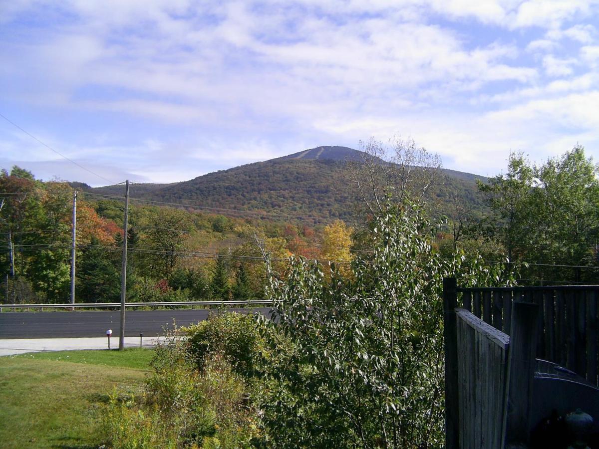 Green Mountain Cabins كيلنغتون المظهر الخارجي الصورة