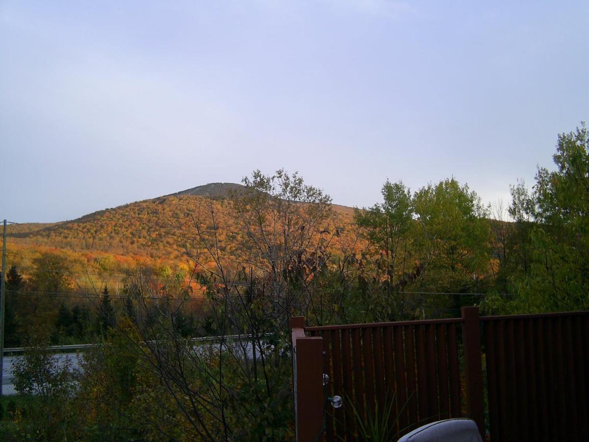 Green Mountain Cabins كيلنغتون المظهر الخارجي الصورة